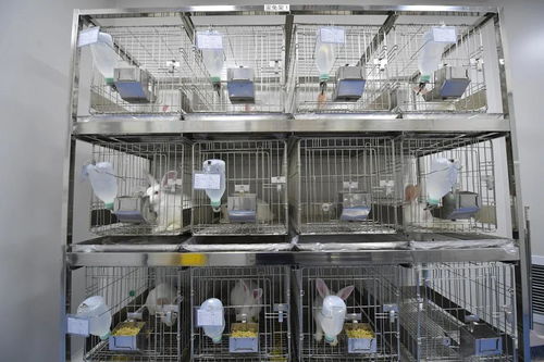 科創質量邀您共赴2021第十一屆植入介入醫療器械創新峰會 消毒服務引領行業新標準